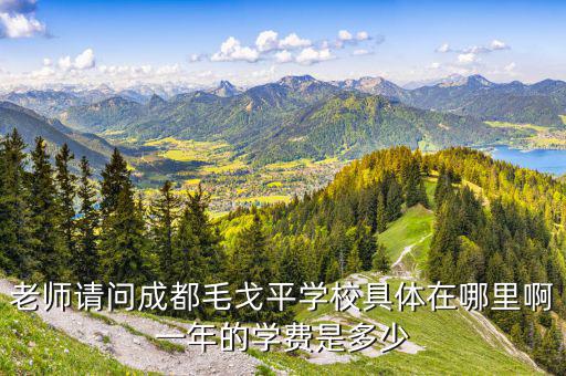 成都毛戈平化妝學校學費，去毛戈平老師學校學化妝要多少錢啊...